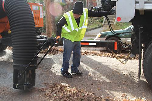 DPW Worker picking up leaves