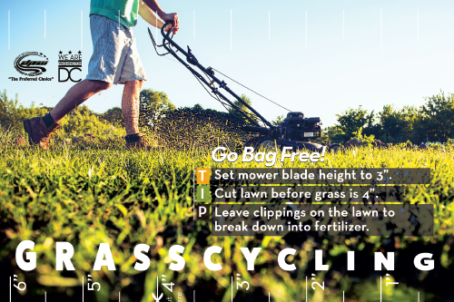 Man mowing lawn - grasscycling