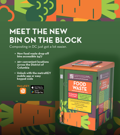 Food Waste Image
